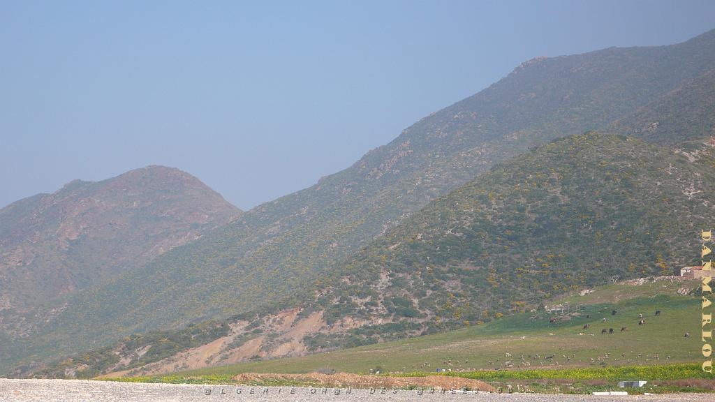 ORAN MARS 2012 29 DEPUIS MADAGH 2.JPG